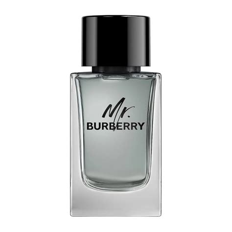 mr burberry deodorant spray 150ml|Mr. Burberry Eau de Toilette .